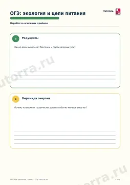 ОГЭ по биологии: экология и цепи питания — рабочий лист, 9 класс