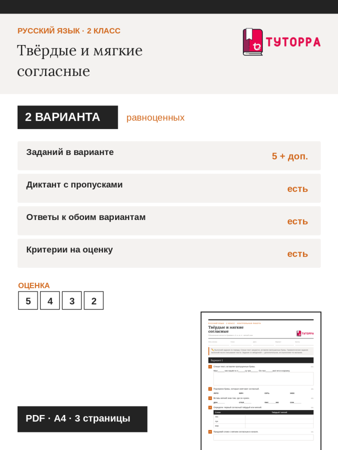 Контрольная работа по русскому языку 2 класс — Твёрдые и мягкие согласные