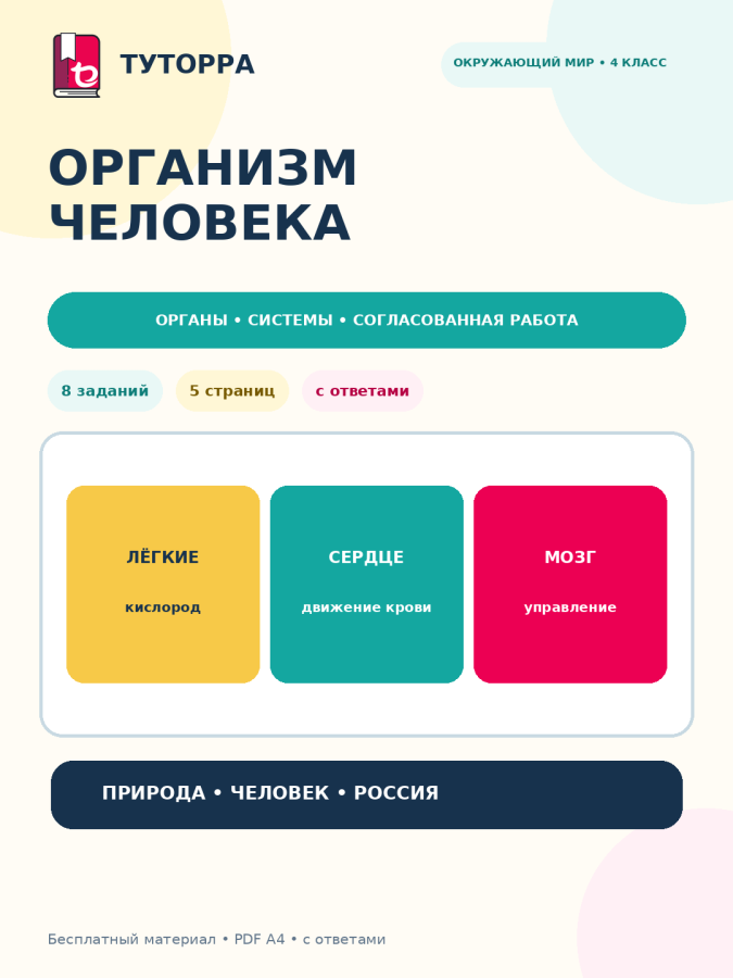 Организм человека: окружающий мир, 4 класс